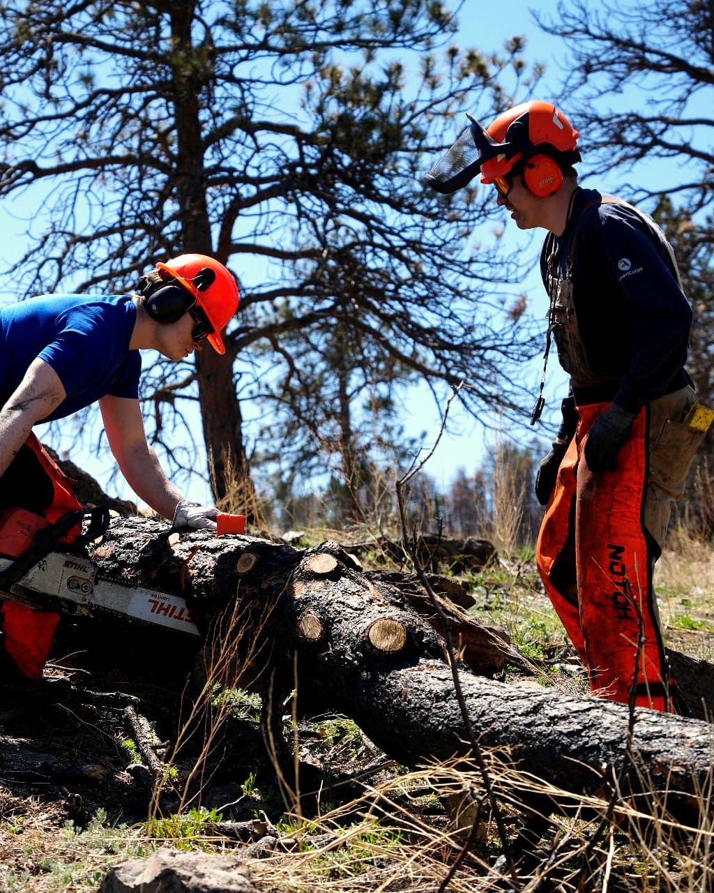 Volunteers restoring a stream bank at Heart-J Center